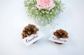 Mariage Aurélie et Guillaume